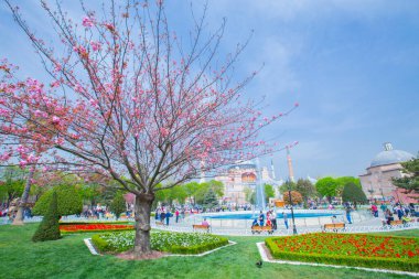 Sultanahmet Meydanı ve Lale Festivali