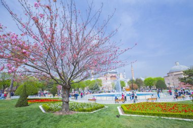 Sultanahmet Meydanı ve Lale Festivali