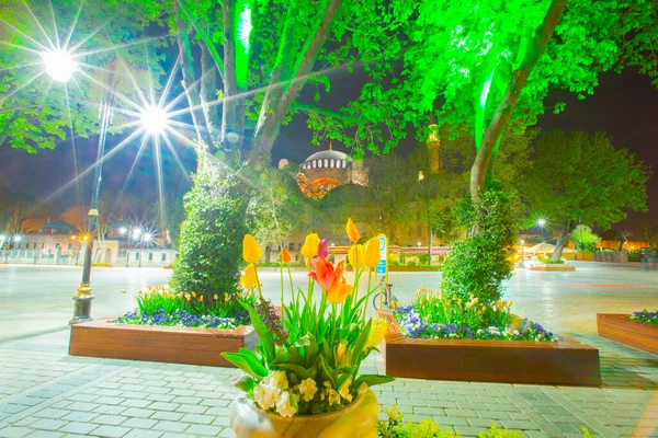 Sultanahmet Square Tulip Festival — Stock fotografie