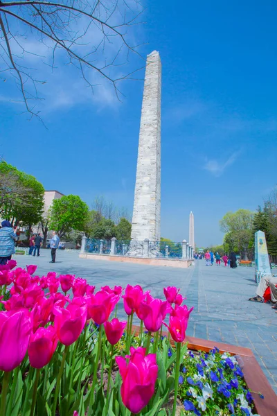 Sultanahmet Meydanı ve Lale Festivali