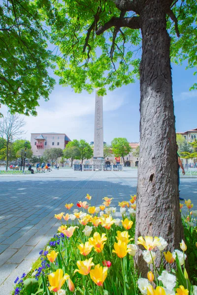 Sultanahmet Meydanı Lale Festivali — Stok fotoğraf