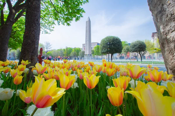 Festiwal Sultanahmet Square Tulip — Zdjęcie stockowe