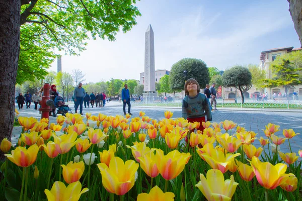 Festiwal Sultanahmet Square Tulip — Zdjęcie stockowe