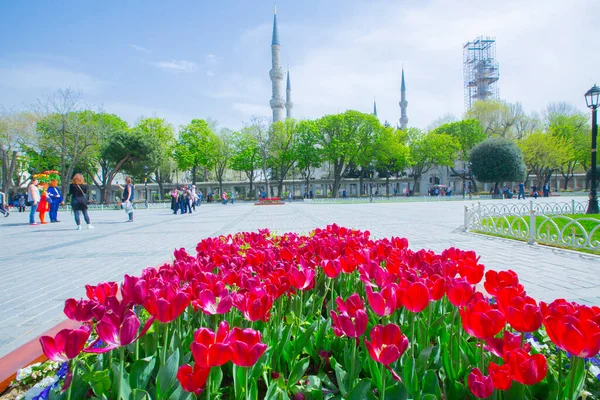 Sultanahmet Square Festival Des Tulipes — Photo