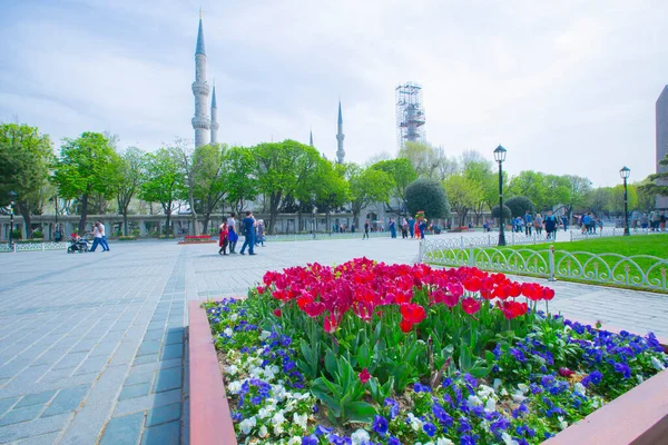Sultanahmet Meydanı ve Lale Festivali