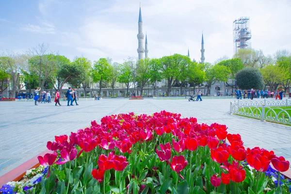 Sultanahmet Platz Und Tulpenfest — Stockfoto