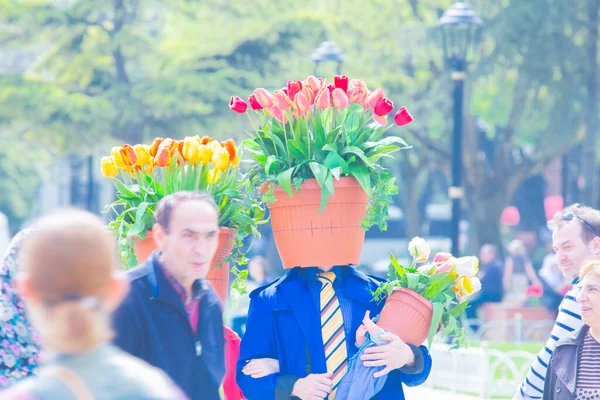 Sultanahmet Meydanı ve Lale Festivali