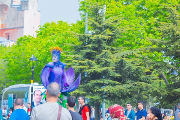 Sultanahmet Meydanı ve Lale Festivali