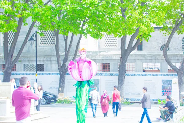 Sultanahmet Meydanı ve Lale Festivali