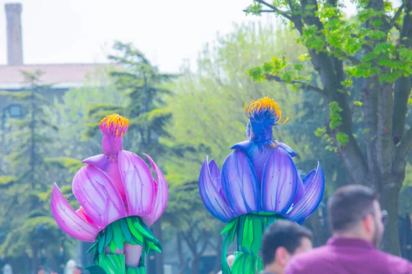 Sultanahmet Meydanı ve Lale Festivali