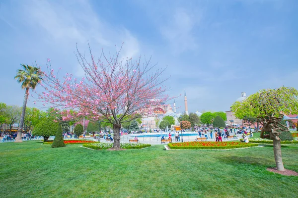 Sultanahmet Piazza Tulipano Festival — Foto Stock