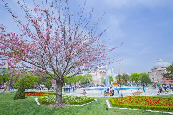 Sultanahmet Meydanı Lale Festivali — Stok fotoğraf