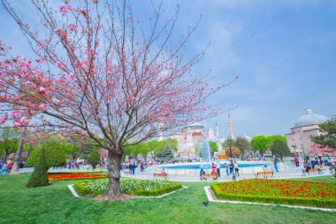 Sultanahmet Meydanı ve Lale Festivali
