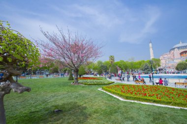 Sultanahmet Meydanı ve Lale Festivali