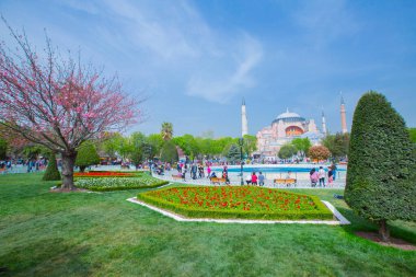 Sultanahmet Meydanı ve Lale Festivali