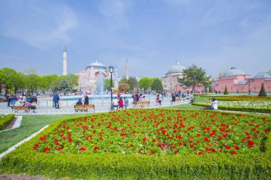 Sultanahmet Meydanı ve Lale Festivali
