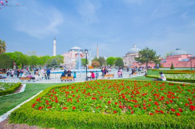 Sultanahmet Meydanı ve Lale Festivali