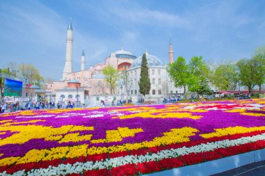 Sultanahmet Meydanı ve Lale Festivali