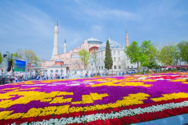 Sultanahmet Meydanı ve Lale Festivali
