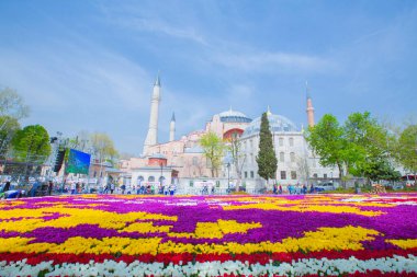 Sultanahmet Meydanı ve Lale Festivali