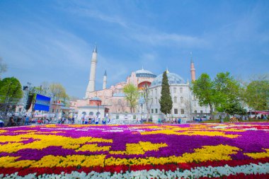 Sultanahmet Meydanı ve Lale Festivali
