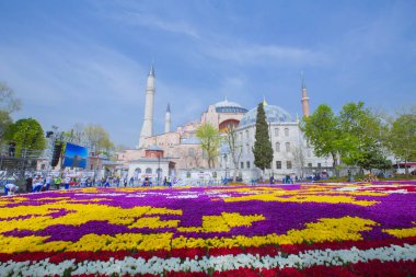 Sultanahmet Meydanı ve Lale Festivali