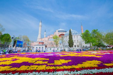 Sultanahmet Meydanı ve Lale Festivali