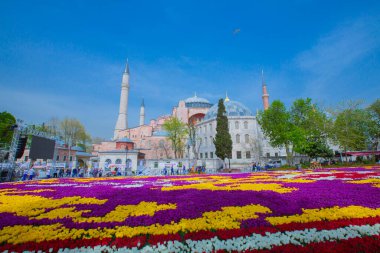 Sultanahmet Meydanı ve Lale Festivali