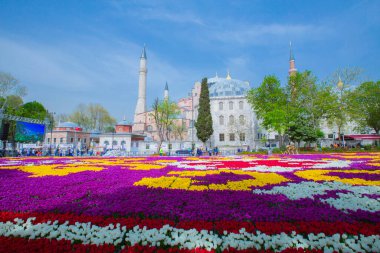 Sultanahmet Meydanı ve Lale Festivali