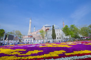 Sultanahmet Meydanı ve Lale Festivali