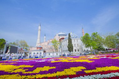 Sultanahmet Meydanı ve Lale Festivali