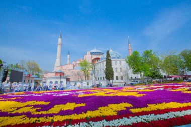 Sultanahmet Meydanı ve Lale Festivali