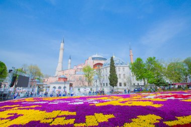 Sultanahmet Meydanı ve Lale Festivali