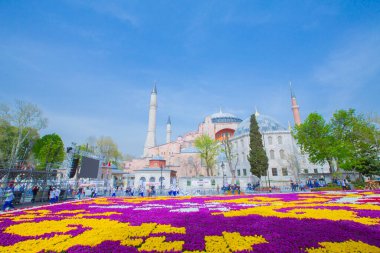 Sultanahmet Meydanı ve Lale Festivali