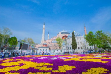 Sultanahmet Meydanı ve Lale Festivali