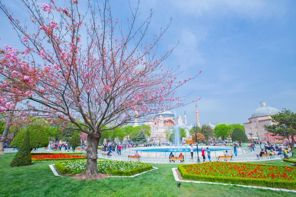 Sultanahmet Meydanı Lale Festivali — Stok fotoğraf