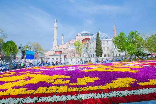 Sultanahmet Meydanı ve Lale Festivali