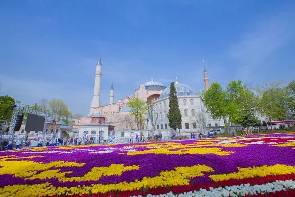 Sultanahmet Meydanı ve Lale Festivali