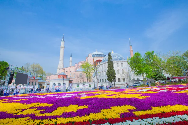Sultanahmet Meydanı ve Lale Festivali