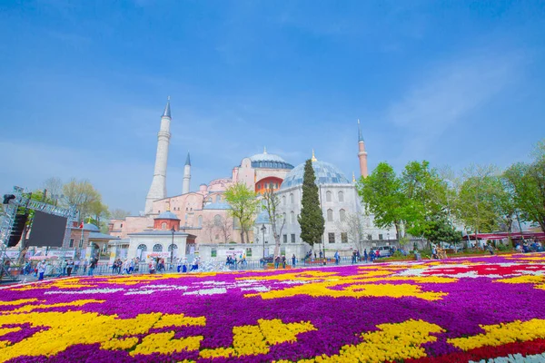 Площа Султанахмет Фестиваль Тюльпан — стокове фото