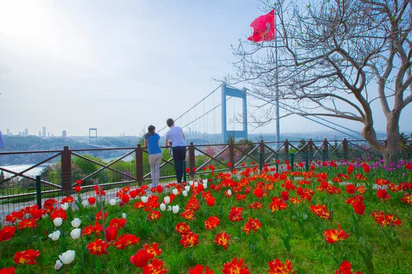 Festiwal Sultanahmet Square Tulip — Zdjęcie stockowe