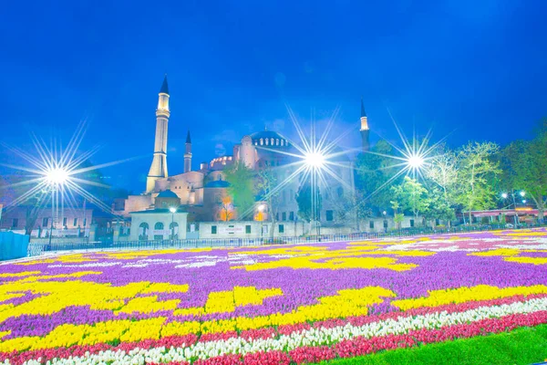 Sultanahmet Platz Und Tulpenfest — Stockfoto