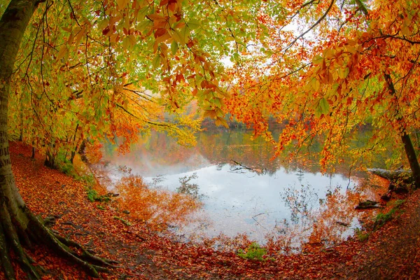 Autumn Forest Landscape Reflection Water Wooden Pier Autumn Landscape Seven — Photo