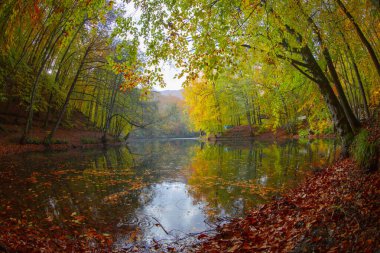 Sonbahar orman manzarası ahşap iskeleli suya yansıyor - Yedigoller Park Bolu, Türkiye 'de sonbahar manzarası (yedi göl)