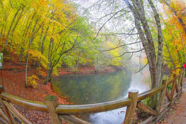 Autumn Forest Landscape Reflection Water Wooden Pier Autumn Landscape Seven — 스톡 사진