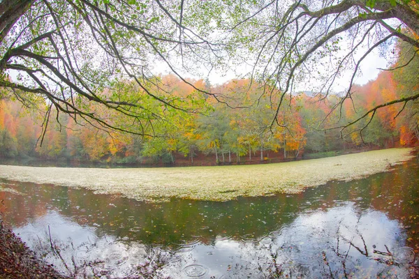 Autumn Forest Landscape Reflection Water Wooden Pier Autumn Landscape Seven — стоковое фото