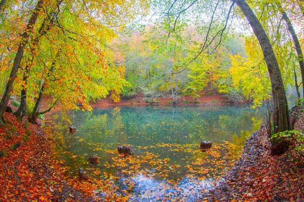 Autumn Forest Landscape Reflection Water Wooden Pier Autumn Landscape Seven — Foto de Stock