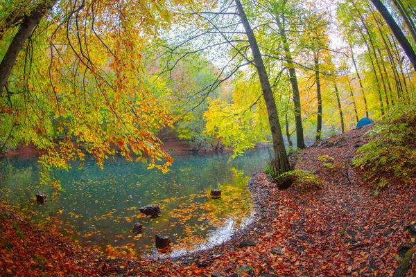Podzimní Lesní Krajina Odraz Vodě Dřevěným Mola Podzimní Krajina Sedm — Stock fotografie