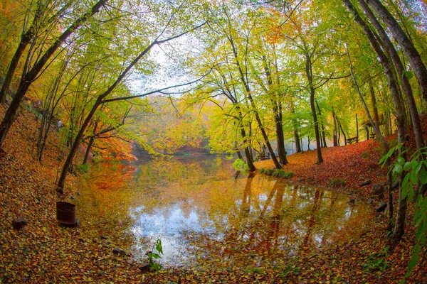 Autumn Forest Landscape Reflection Water Wooden Pier Autumn Landscape Seven — 스톡 사진