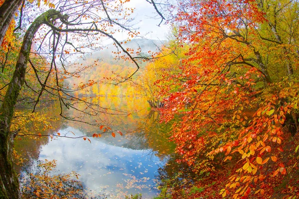 Jesienny Krajobraz Leśny Nad Wodą Drewnianym Molo Jesienny Krajobraz Siedem — Zdjęcie stockowe